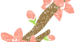 桃の花イラスト無料素材