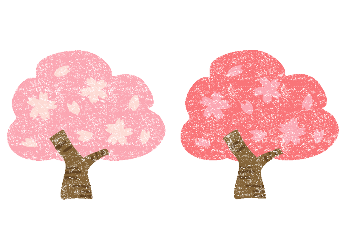 桜の 木 イラスト 桜をまずは簡単に 初心者向けのイラストの描き方