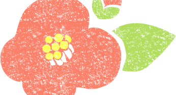 椿の花 イラストプラザ