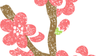 梅の花イラストフリー素材